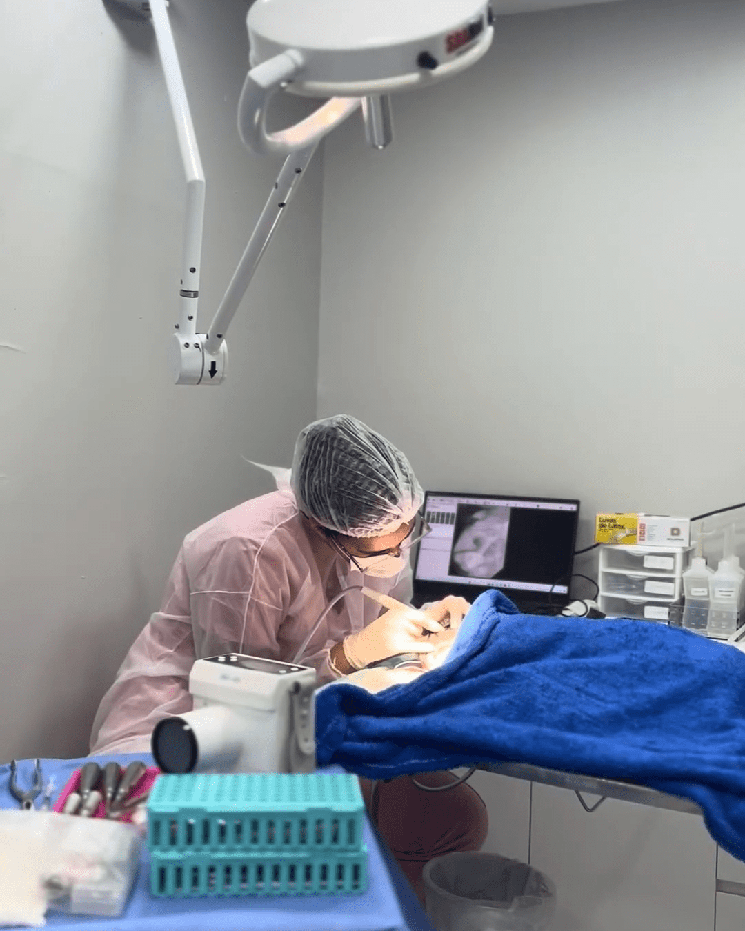dentista cachorro gato - clinica AtenVet Águas Claras - Brasilia